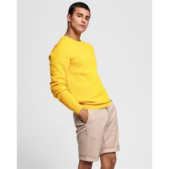 GANT trui 8030072
