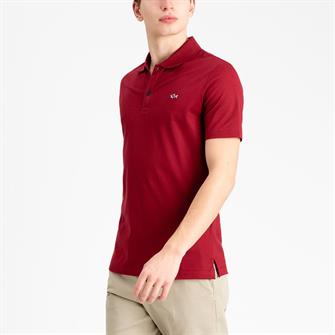 Paul & Shark polo in Bordeaux KM - C0P1013