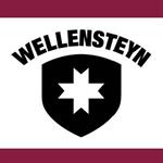 wellensteyn